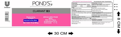 Image Description (Ponds 400 G 11)